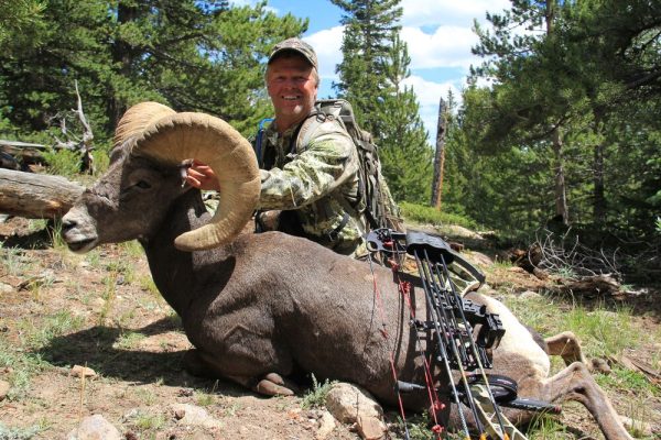 2025 Colorado Statewide Rocky Mountain Bighorn Sheep License Raffle - Image 7