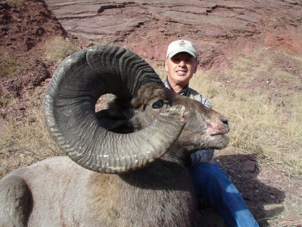 2025 Colorado Statewide Rocky Mountain Bighorn Sheep License Raffle - Image 8