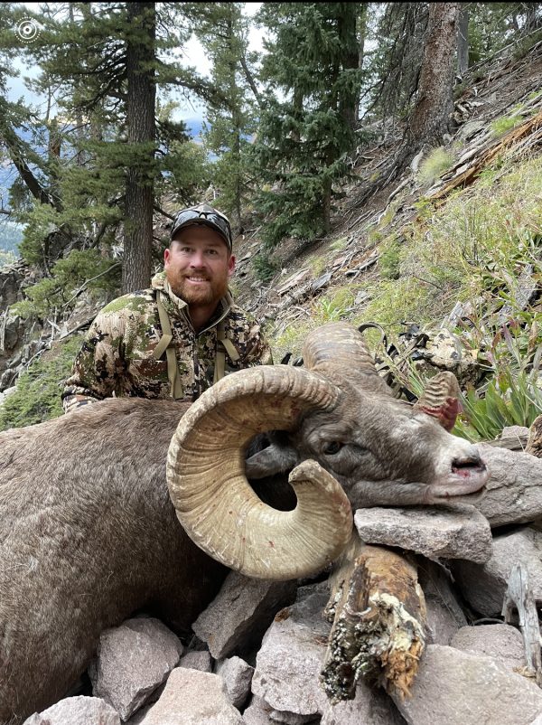 2025 Colorado Statewide Rocky Mountain Bighorn Sheep License Raffle - Image 4