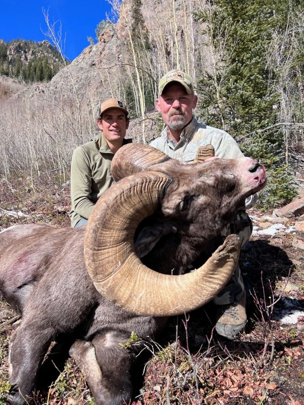 2025 Colorado Statewide Rocky Mountain Bighorn Sheep License Raffle - Image 3