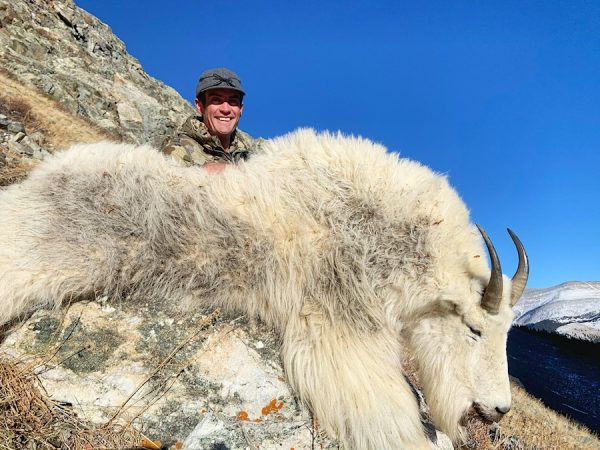 2025 Colorado Statewide  Mountain Goat License Raffle - Image 5