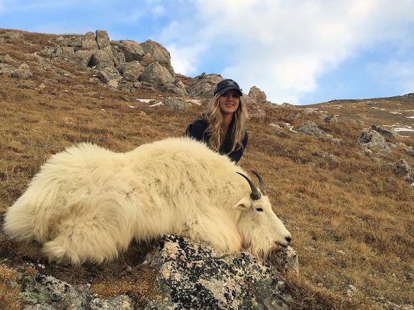 2025 Colorado Statewide  Mountain Goat License Raffle - Image 3