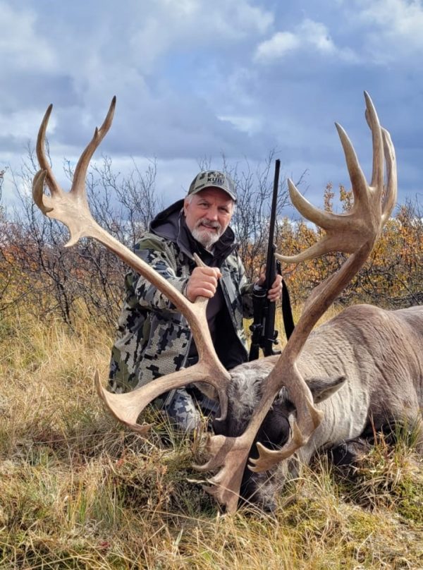 caribou