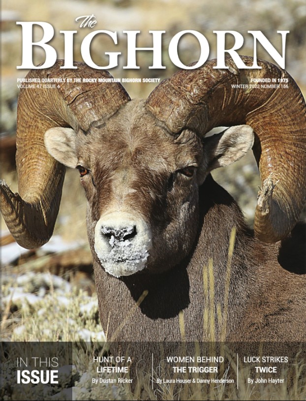 Winter 2022 Cover Bighorn