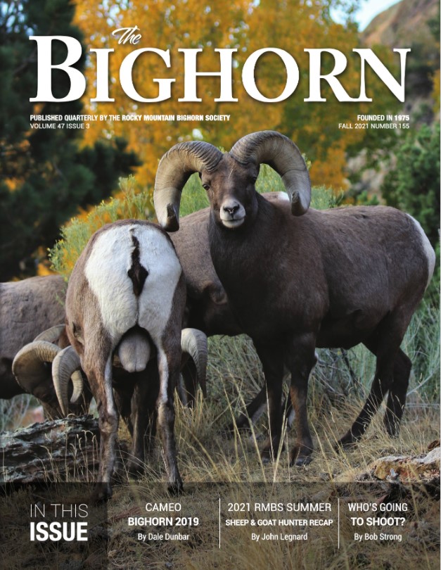 Fall 2021 Cover Bighorn
