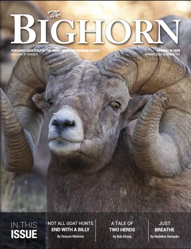 Spring 2022 Bighorn