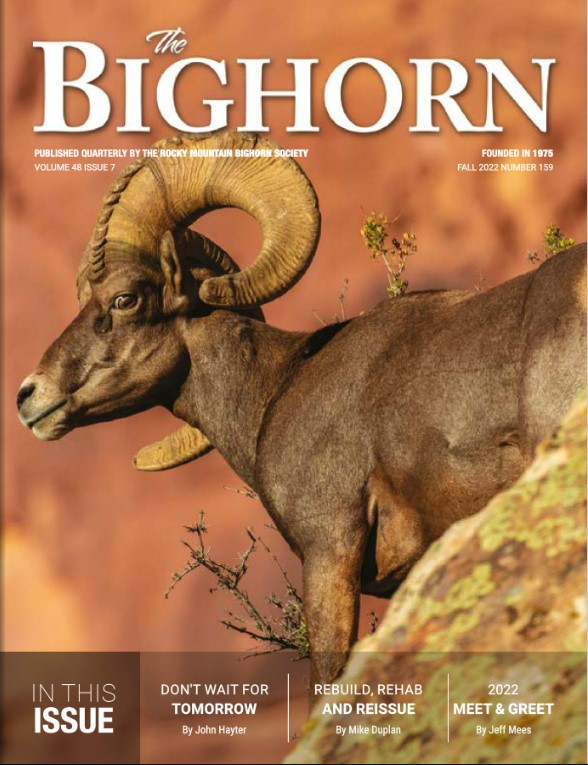 Fall-22-Bighorn