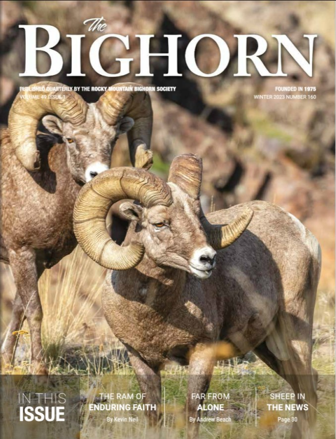 Spring Bighorn issue